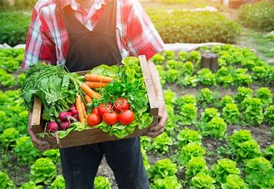 Farm Produce Image